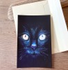 Postcard BLACK CAT