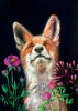 Poster FOXIE